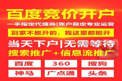 竞价SEM案例分享：行业霸主崛起之路